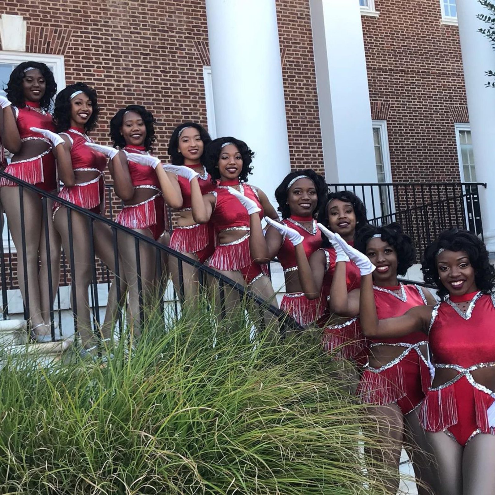 Formation: Delaware State D'Elegance Homecoming 2019 Field Show Performance